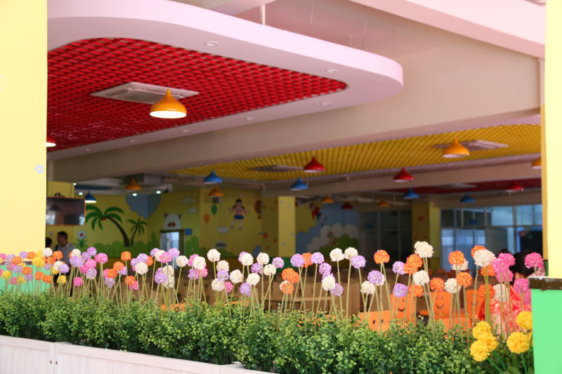 1479111942833974.jpg 22605392414423572.jpg