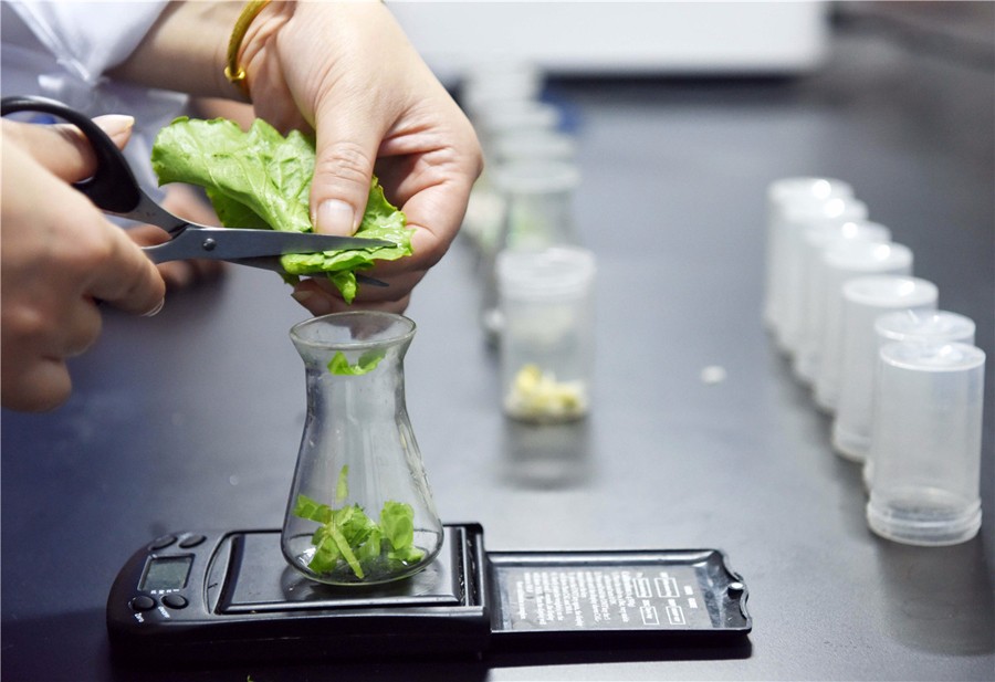 1514358355500968.jpg W020170928565339091279.jpg