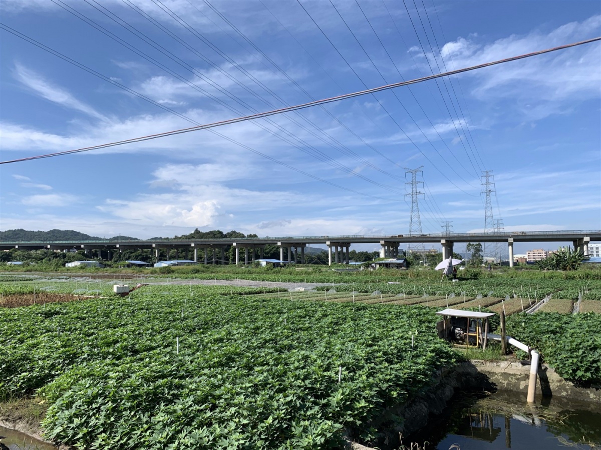 微信圖片_201908220933264_副本.jpg 微信圖片_201908220933264_副本.jpg