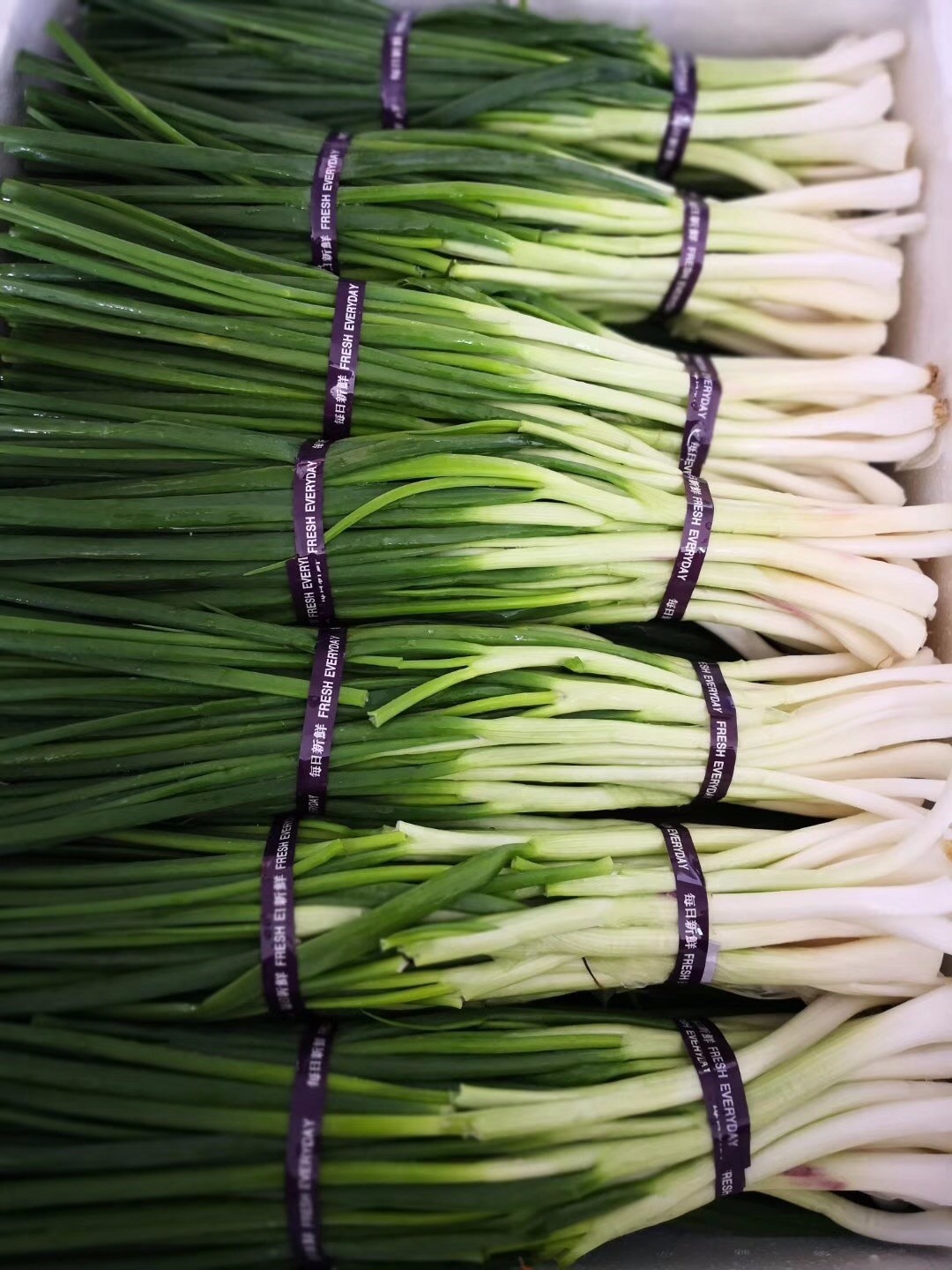 微信圖片_202004061454525.jpg 微信圖片_202004061454525.jpg