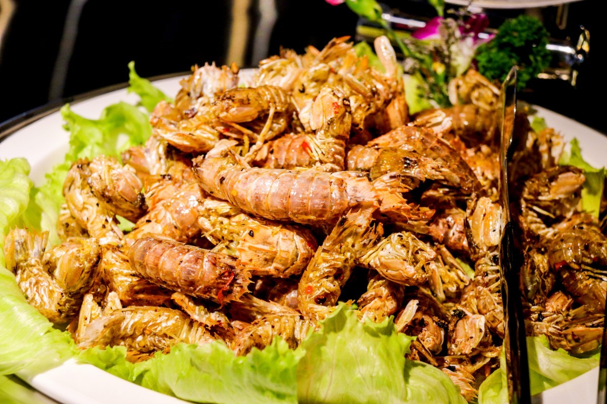 IMG_3804.jpg IMG_3804.jpg